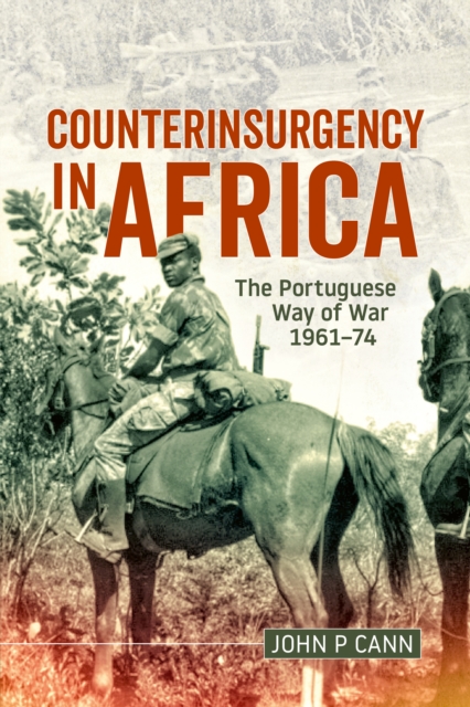 Counterinsurgency in Africa