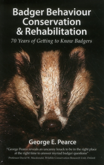 Badger Behaviour, Conservation & Rehabilitation