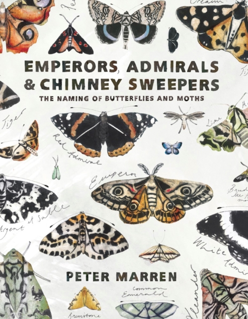 Emperors, Admirals and Chimney Sweepers