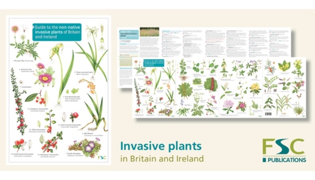Guide to the non-native invasive plants of Britain and Ireland