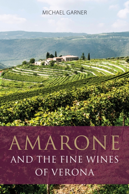 Amarone and the fine wines of Verona