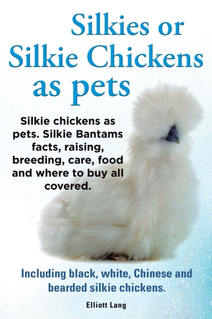 Silkies or Silkie Chickens as Pets. Silkie Bantams Facts, Raising, Breeding, Care, Food and Where to Buy All Covered. Including Black, White, Chinese and Bearded Silkie Chickens.