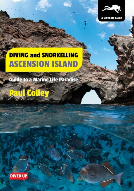Diving and Snorkelling Ascension Island