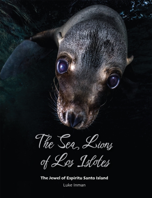 Sea Lions of Los Islotes