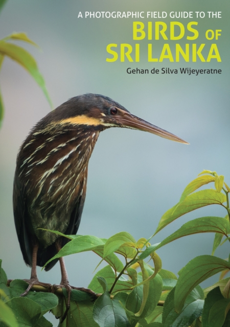 Photographic Field Guide to the Birds of Sri Lanka