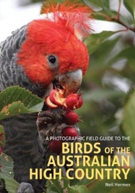 Photographic Field Guide to the Birds of the Australian High Country