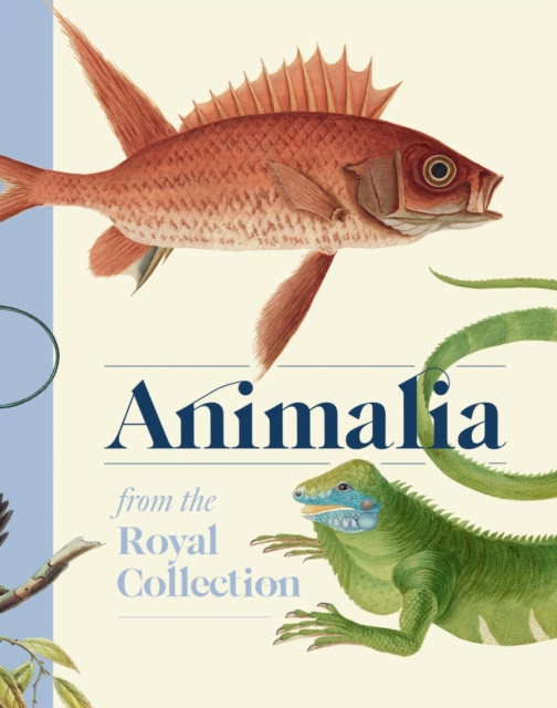 Animalia