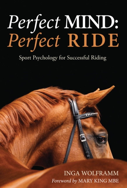 Perfect Mind: Perfect Ride