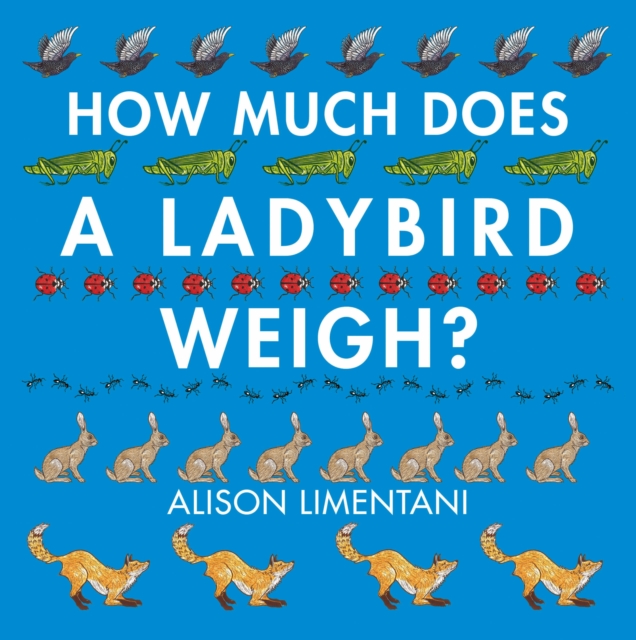 How Much Does a Ladybird Weigh?