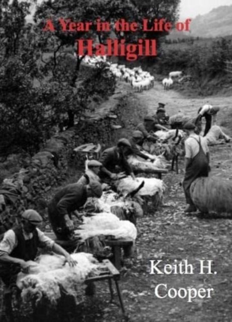 Year in the Life of Halligill