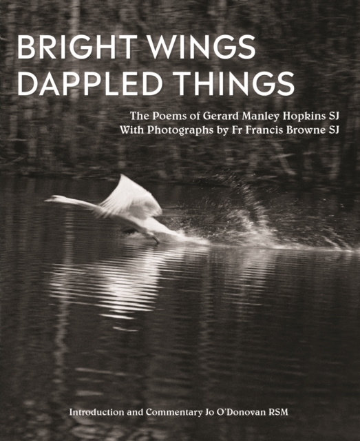 Bright Wings, Dappled Things
