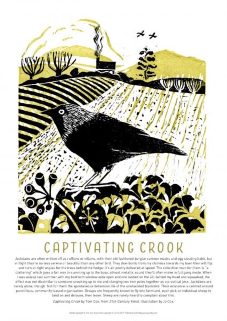 Tom Cox's 21st Century Yokel Poster – Captivating Crook