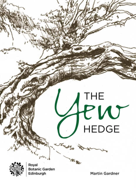 Yew Hedge