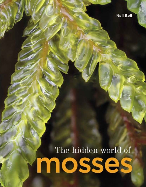 Hidden World of Mosses