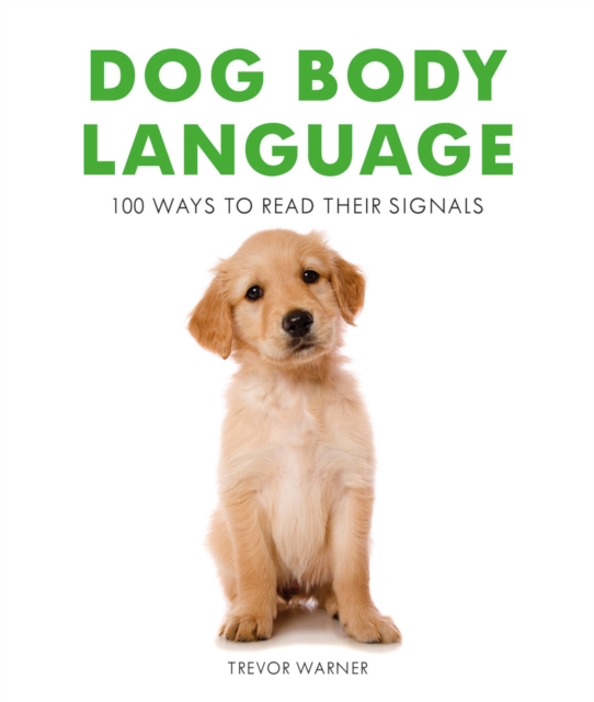 Dog Body Language