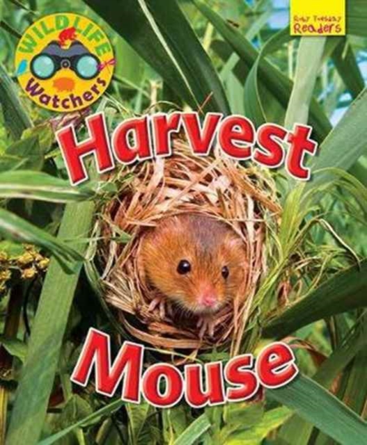 Wildlife Watchers: Harvest Mouse