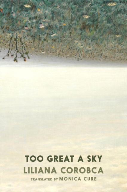 Too Great A Sky