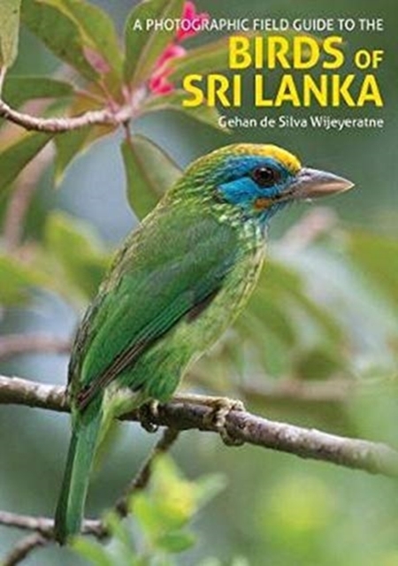 Birds of Sri Lanka