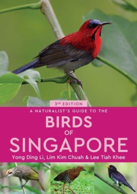 Naturalist's Guide to the Birds of Singapore