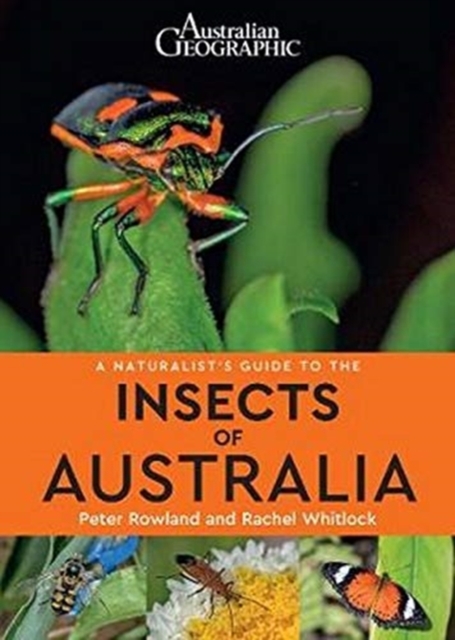 Naturalist's Guide to the Insects of Australia