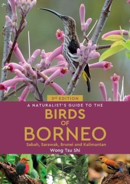 Naturalist's Guide to the Birds of Borneo (3rd edition)