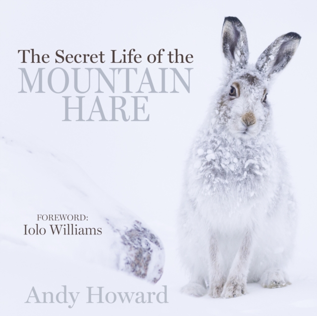 Secret Life of the Mountain Hare