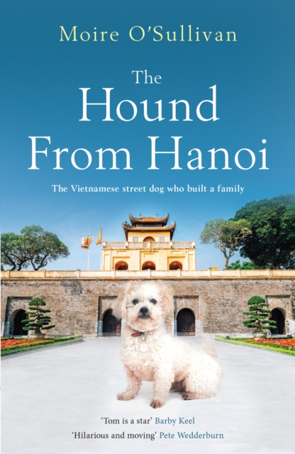 Hound from Hanoi