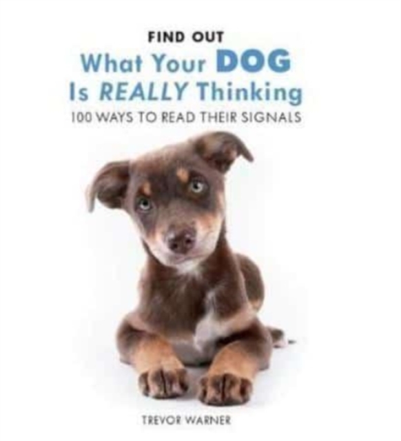 Dog Body Language