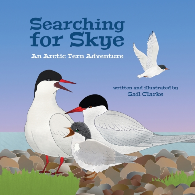 Searching For Skye