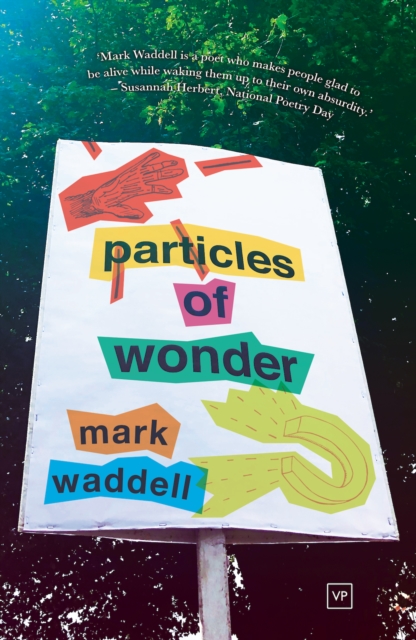 Particles of Wonder