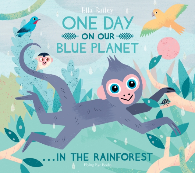 One Day on our Blue Planet: In the Rainforest (Paperback)