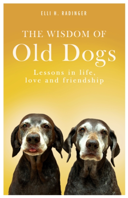 Wisdom of Old Dogs
