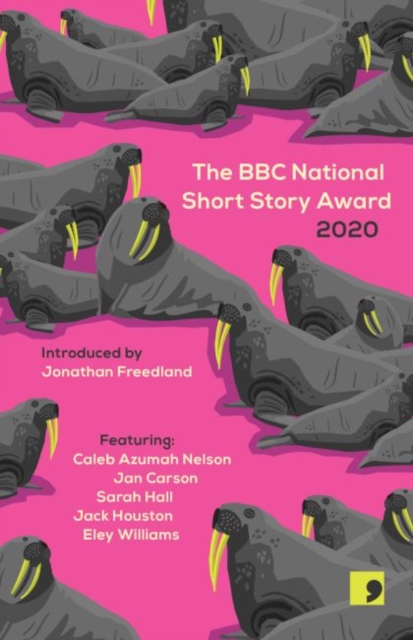 BBC National Short Story Award 2020