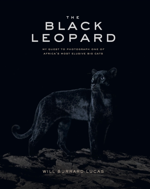 Black Leopard