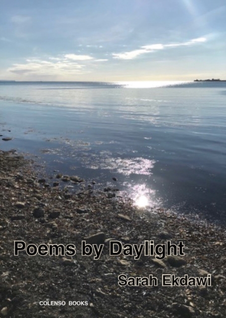 Poems by Daylight