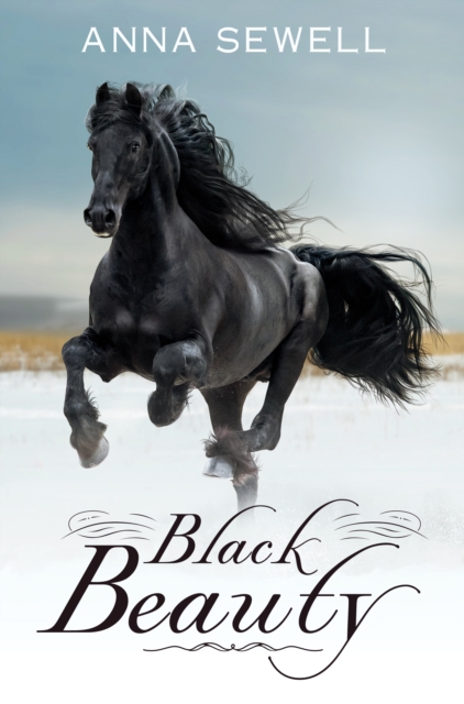 Black Beauty  (Dyslexic Specialist edition)