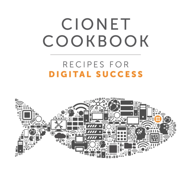CIONET Recipes for Digital Success