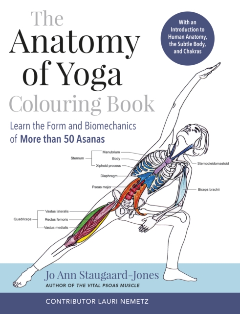 Anatomy of Yoga Colouring Book