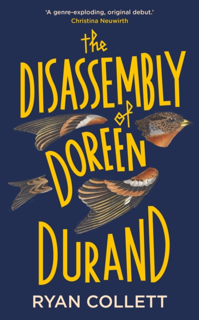 Disassembly of Doreen Durand