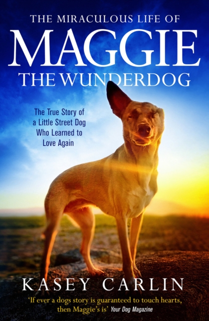 The Miraculous Life of Maggie the Wunderdog