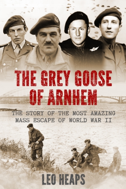 Grey Goose of Arnhem