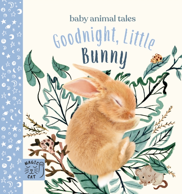 Goodnight, Little Bunny