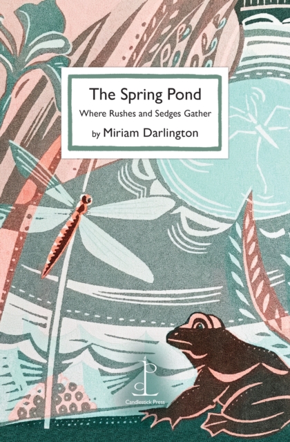 The Spring Pond