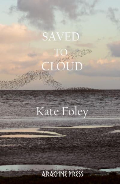 Saved to Cloud