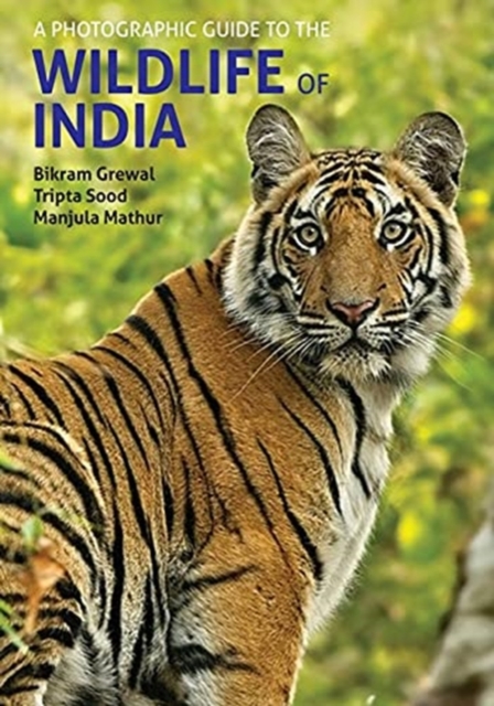 Photographic Guide to the Wildlife of India