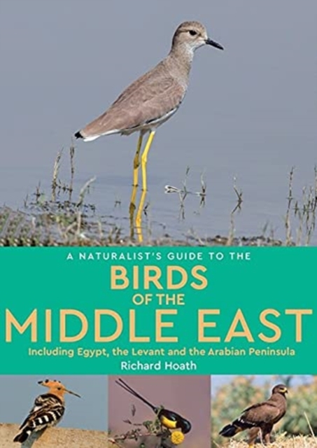 Naturalist's Guide to the Birds of Egypt and the Middle East