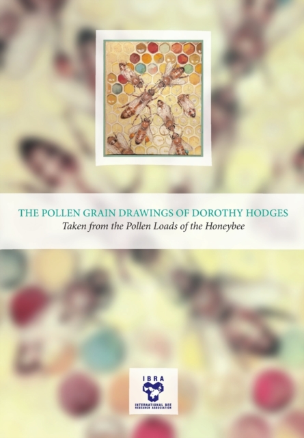 Pollen Grain Drawings of Dorothy Hodges