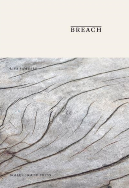 Breach