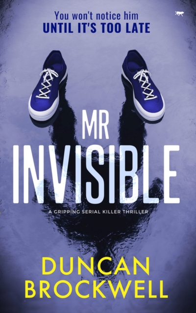 Mr Invisible