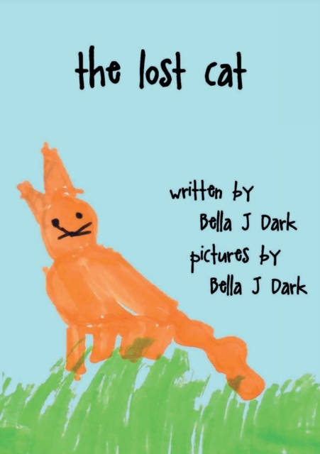 Lost Cat